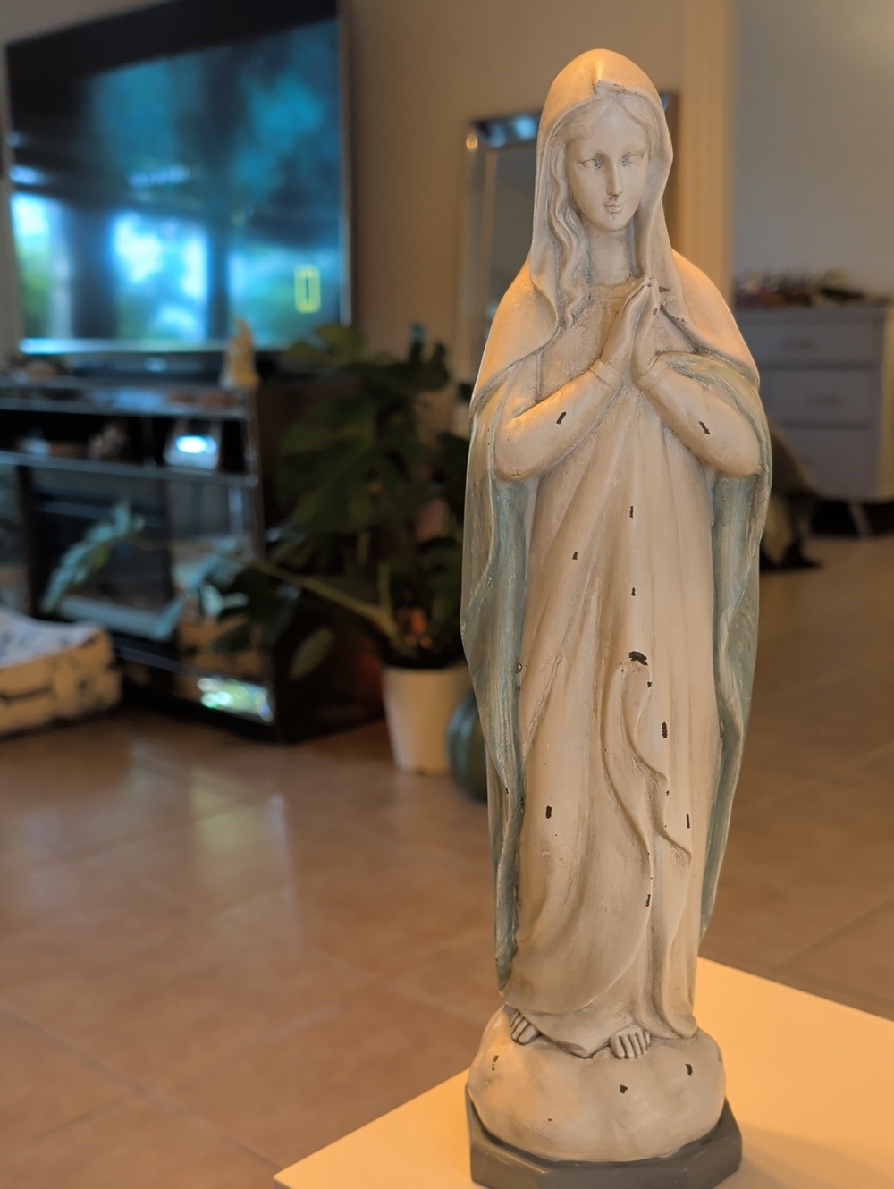Virgen Mary Decorative Praying Hands Home Art